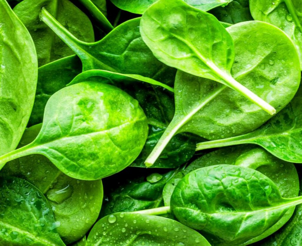 iqf-vegetables-royal-foodstuffs-tropical-aseptic-frozen-iqf